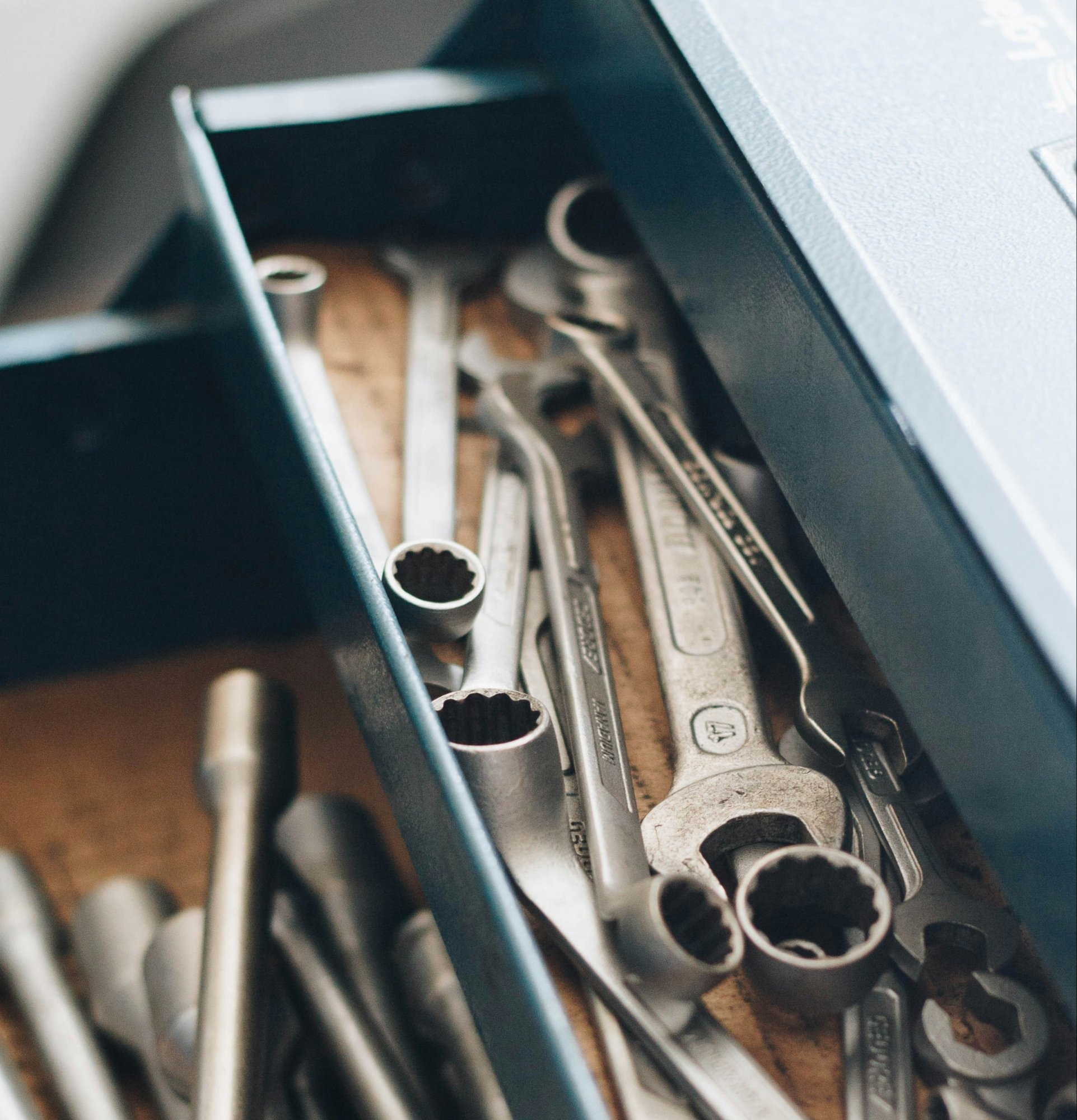 isabela-kronemberger-OegFhZfw6Ok-unsplash-1